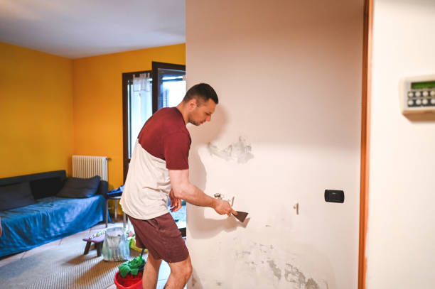 Best Post-Remediation Services in Dolgeville, NY